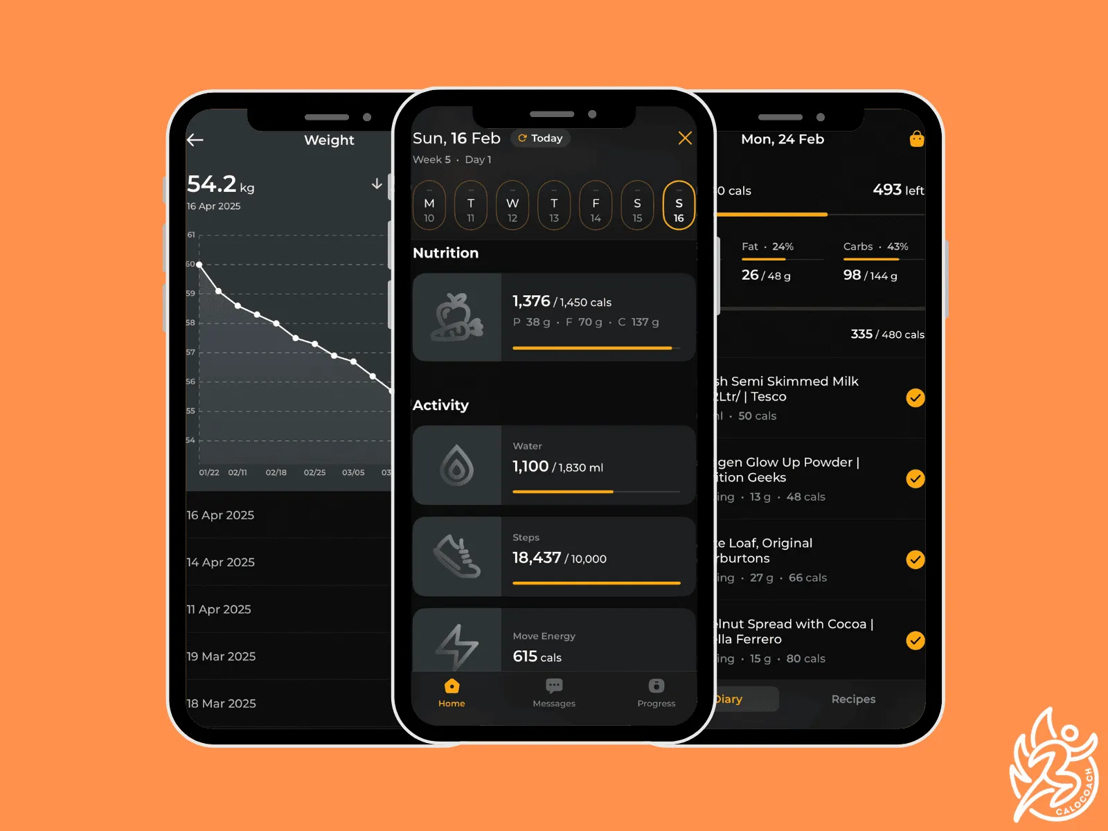 Guides and resources included